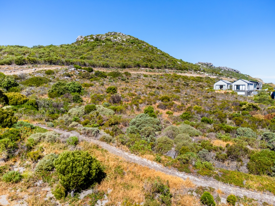 0 Bedroom Property for Sale in Chapman